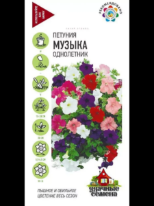 Петуния Музыка