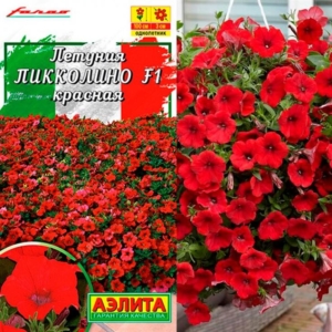 Петуния Пикколино Красная