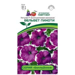 Петуния Пикоти Вельвет