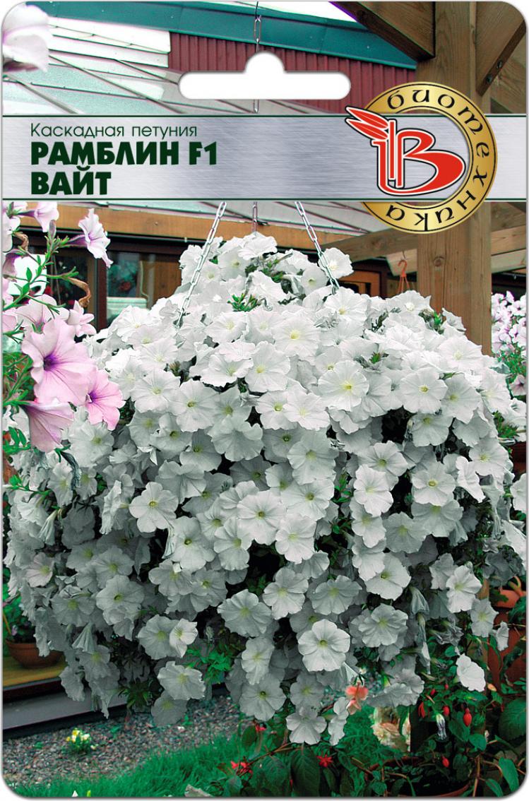 Петуния Рамблин Вайт 2