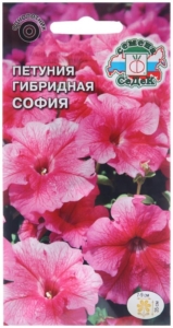 Петуния София
