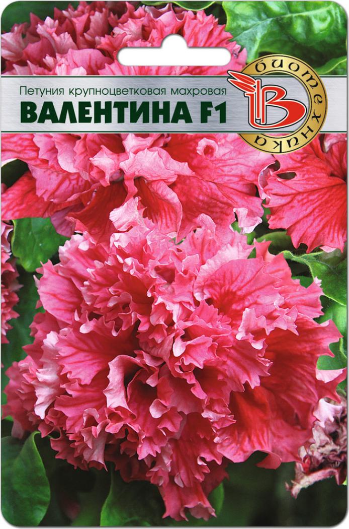 Петуния Валентина 6