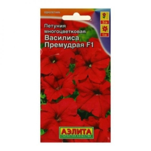 Петуния Василиса Премудрая