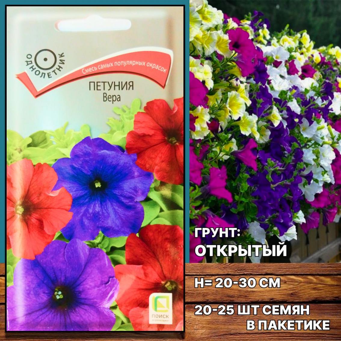 Петуния Вера