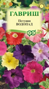 Петуния Водопад (смесь)