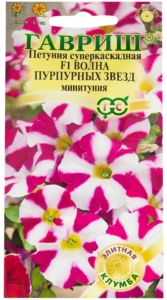 Петуния Волна Пурпурных звёзд