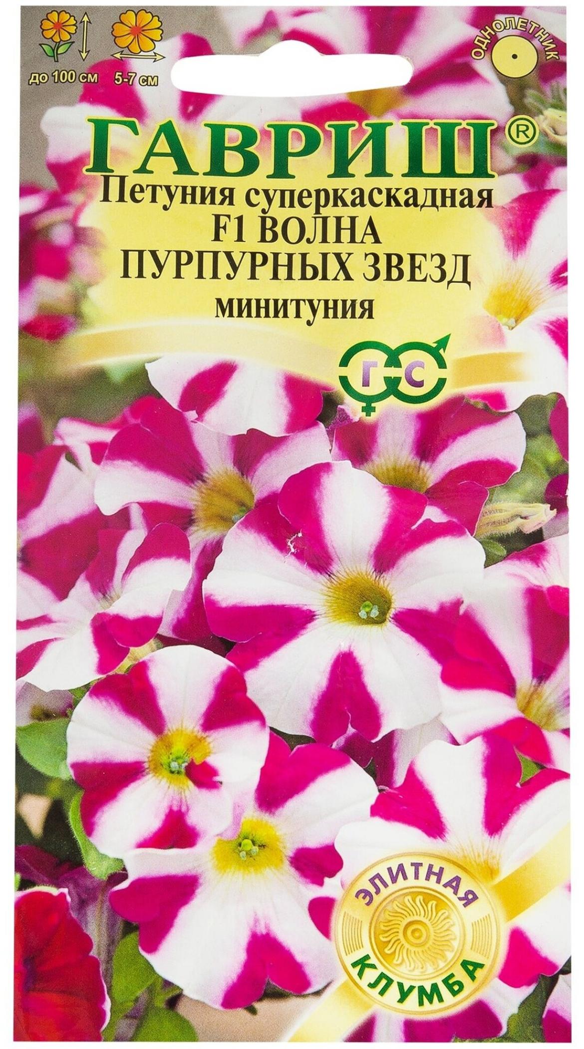 Петуния Волна Пурпурных звёзд