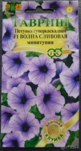 Петуния Волна Сливовая