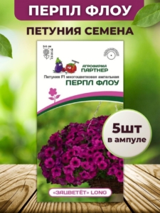 Петуния Зацветет Long Перпл Флоу