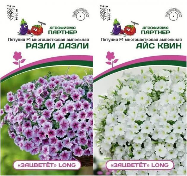Петуния Зацветет Long Разли Дазли 2