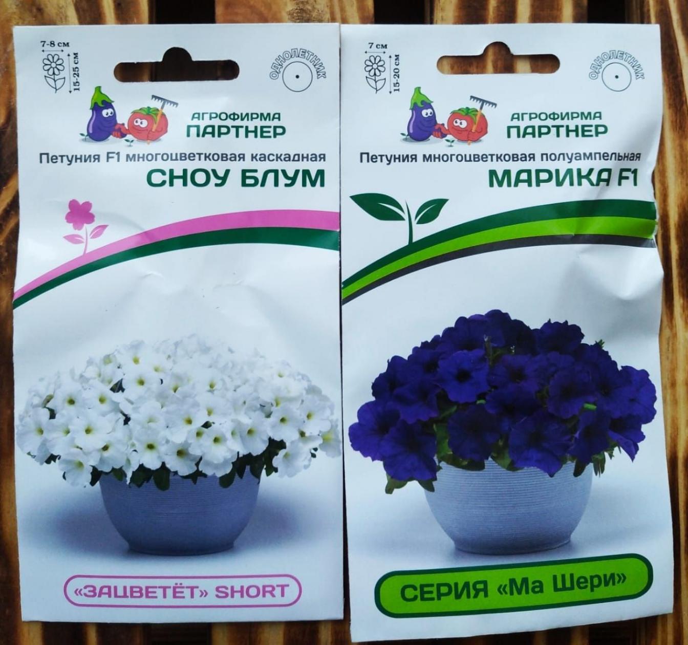 Петуния Зацветет Short Сноу Блум