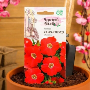 Петуния Жар Птица