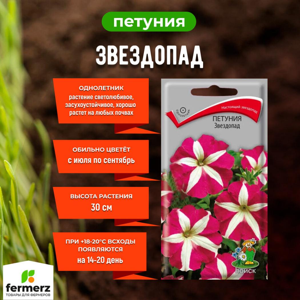 Петуния Звездопад 2