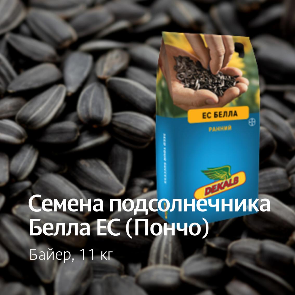Подсолнечник ЕС Белла 2