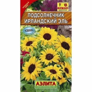 Подсолнечник Ирландский эль