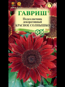 Подсолнечник Красное солнышко