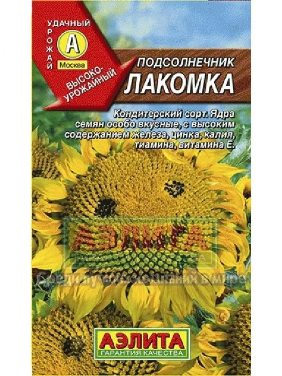 Подсолнечник Лакомка 2