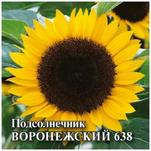 Подсолнечник Воронежский 638