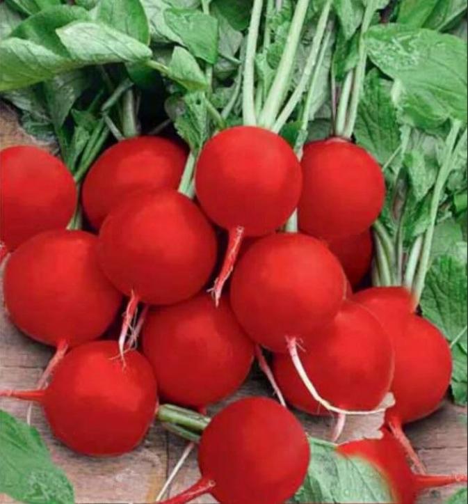 Редис Корунд 2