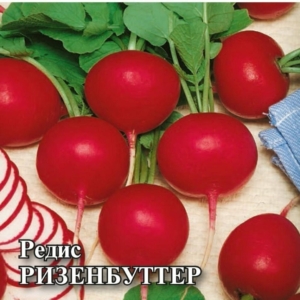 Редис Ризенбуттер