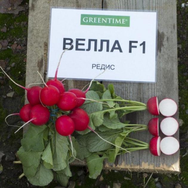 Редис Велла
