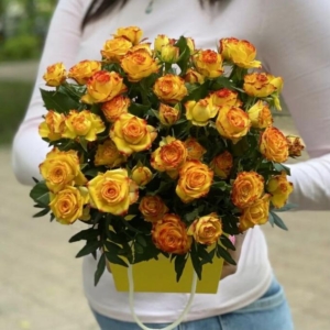 Роза Айлайнер
