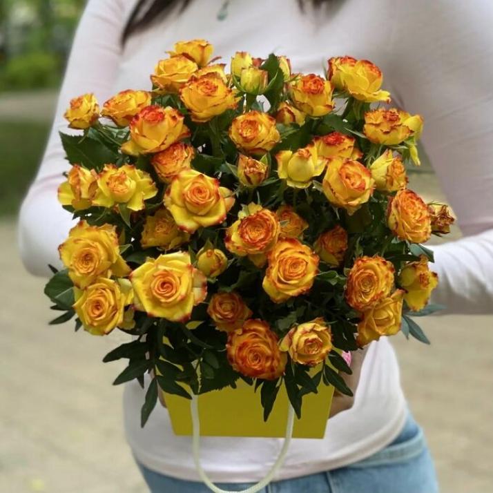 Роза Айлайнер