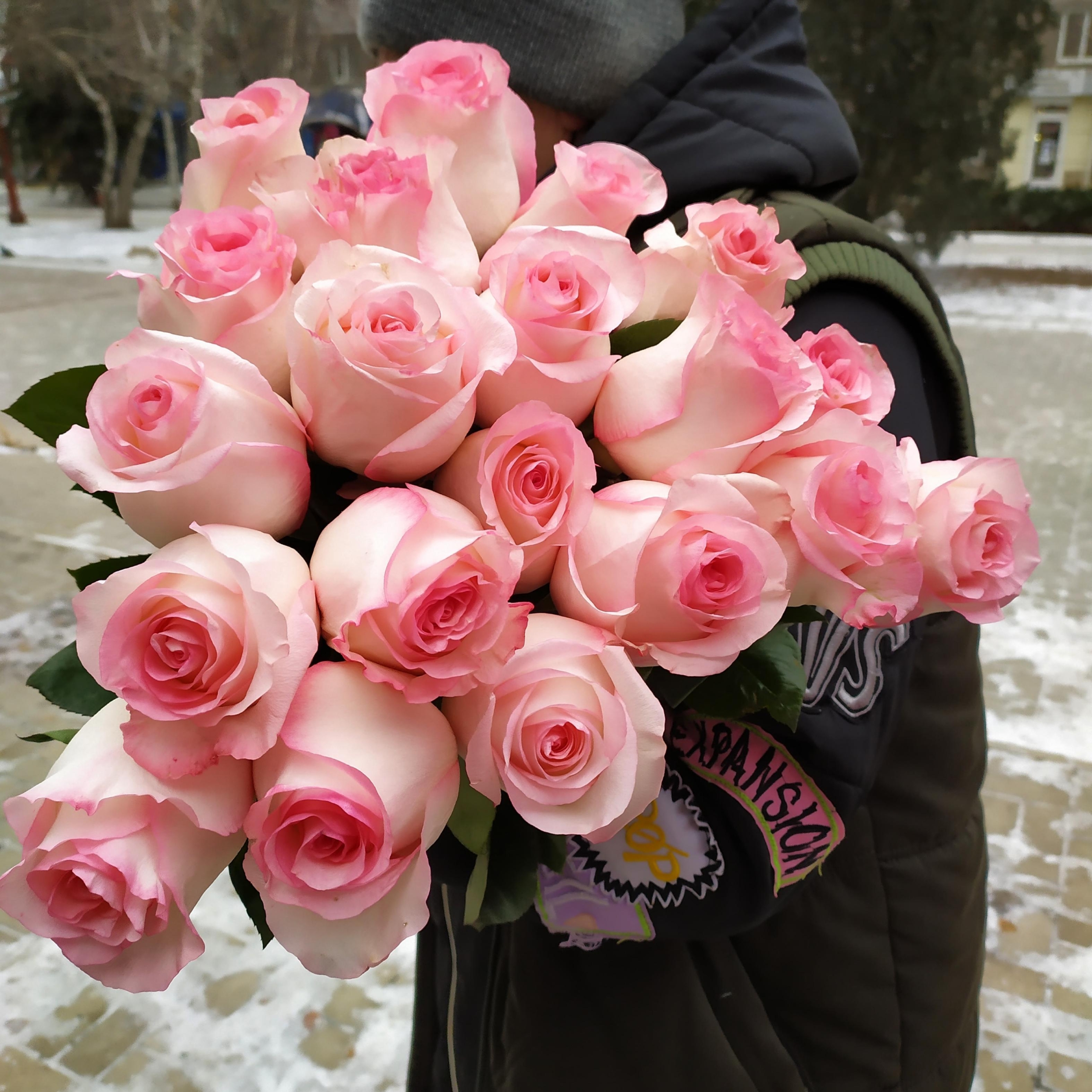 Роза Бульвар (Булевард) 3