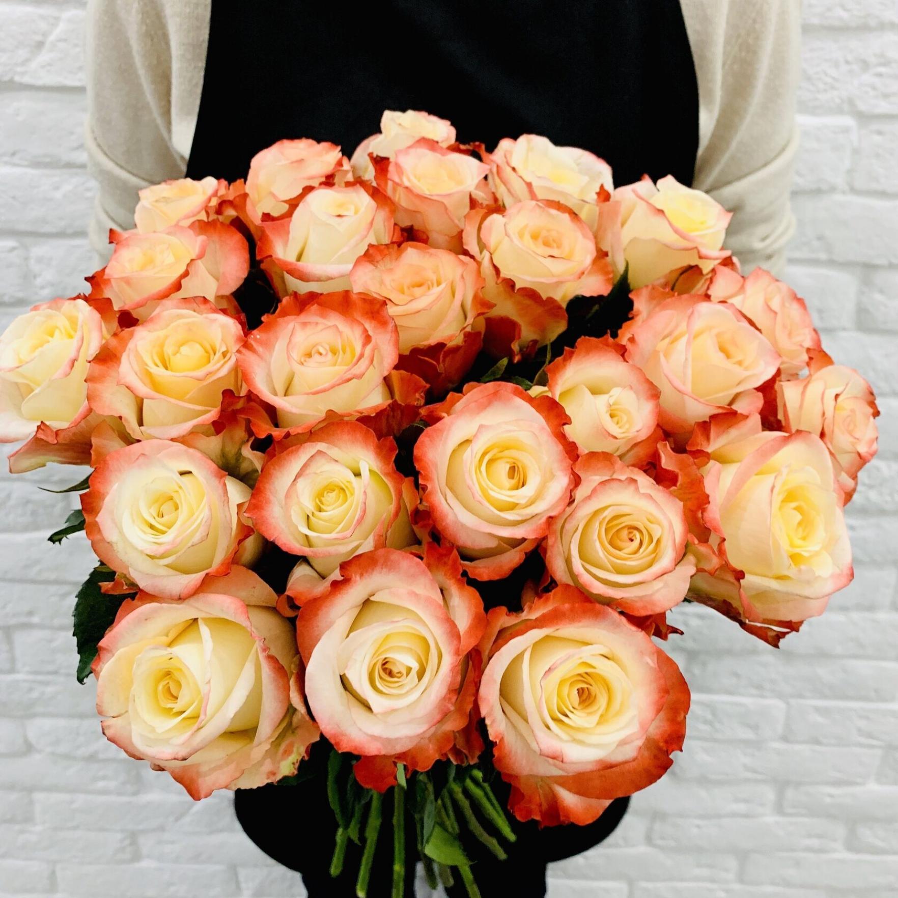 Роза Кабаре 4