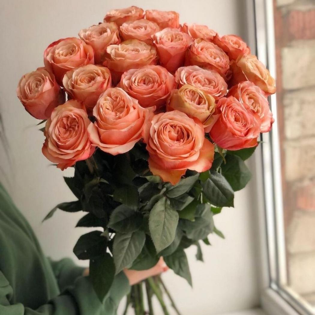 Роза Кахала 2