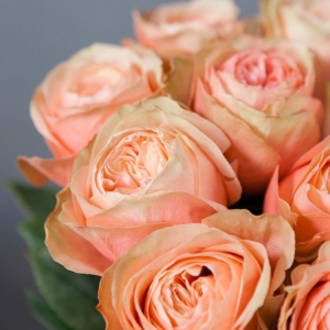 Роза Кахала