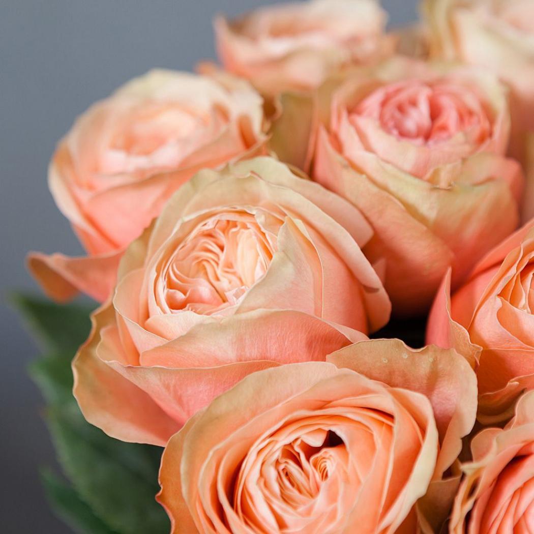 Роза Кахала