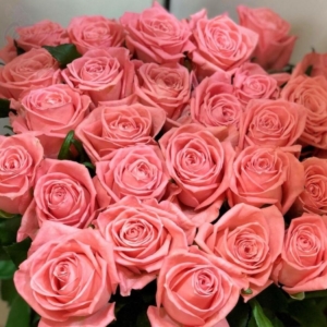 Роза Карина