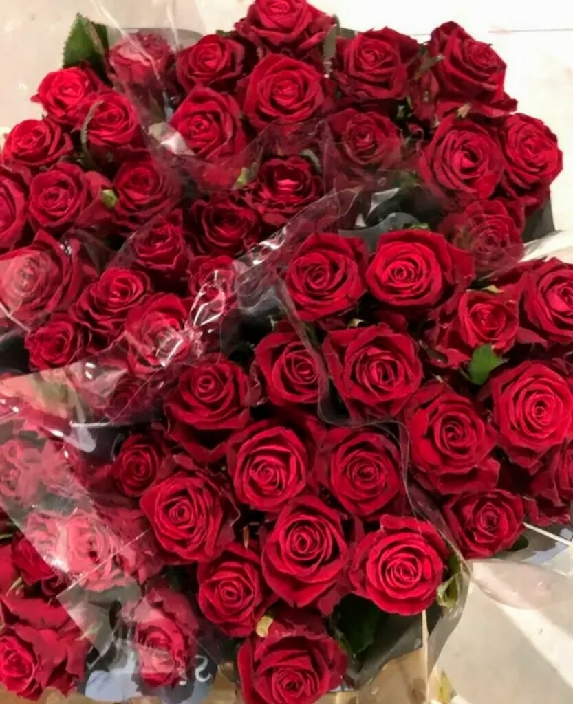 Роза Кон Аморе 3