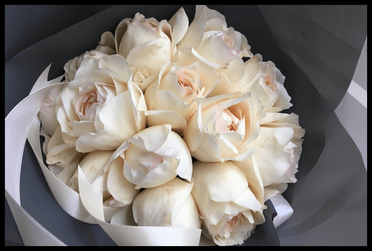 Роза Крем Ив Пьяже 5