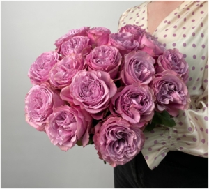 Роза Квинс Краун