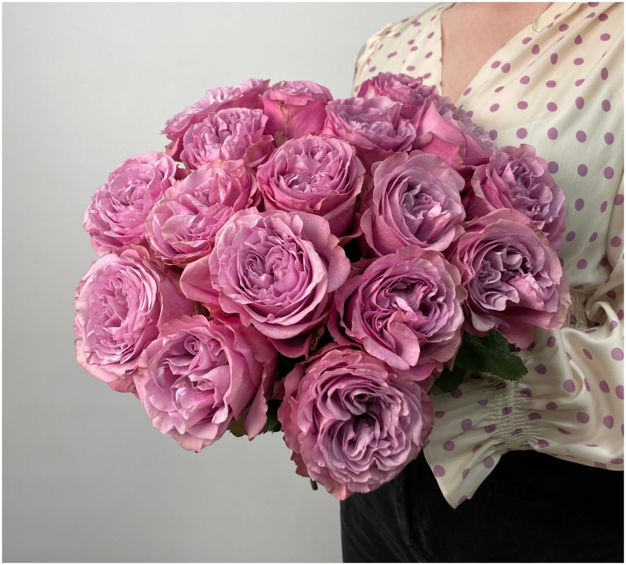 Роза Квинс Краун