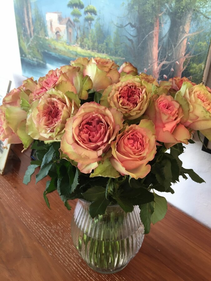 Роза Лав Ми 3