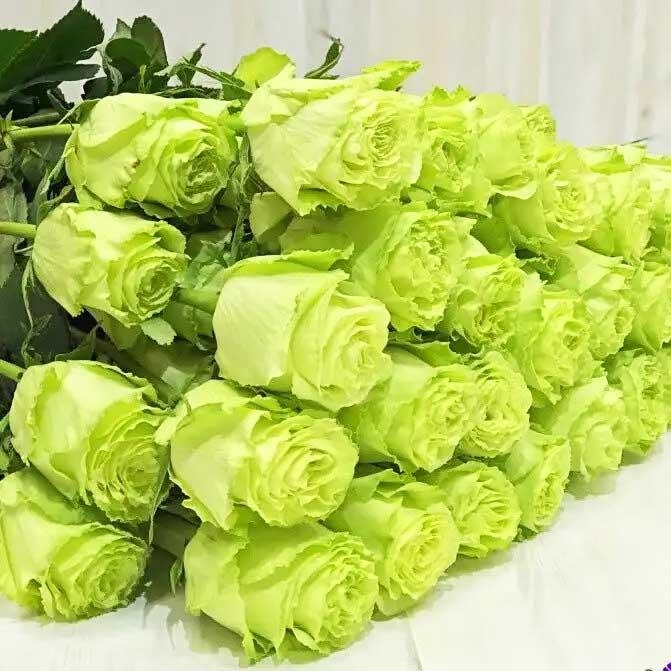 Роза Лимонад 4