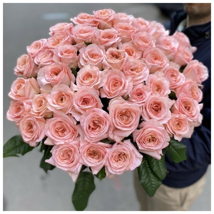 Роза Лондон Ай 3