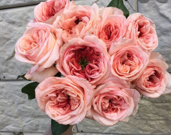 Роза Лондон Ай