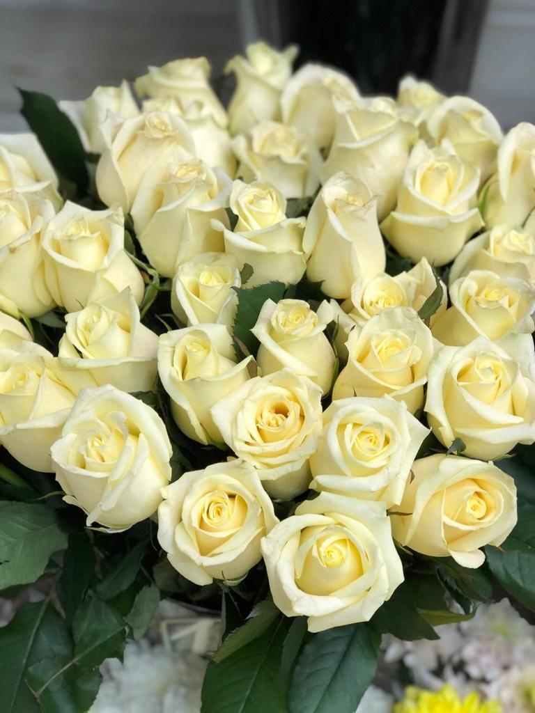 Роза Магади 3