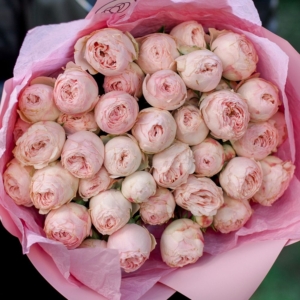 Роза Мэнсфилд Парк