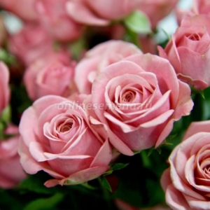 Роза Мон Амур