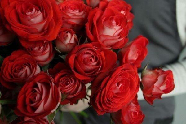 Роза Победа