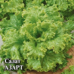 Салат Азарт