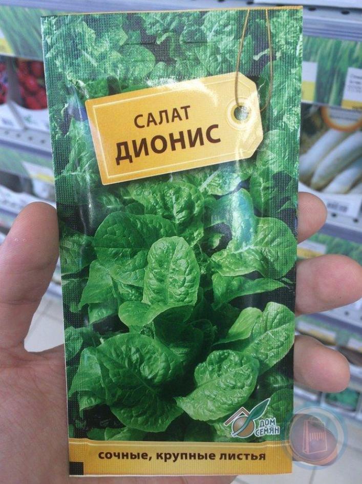 Салат Дионис 3