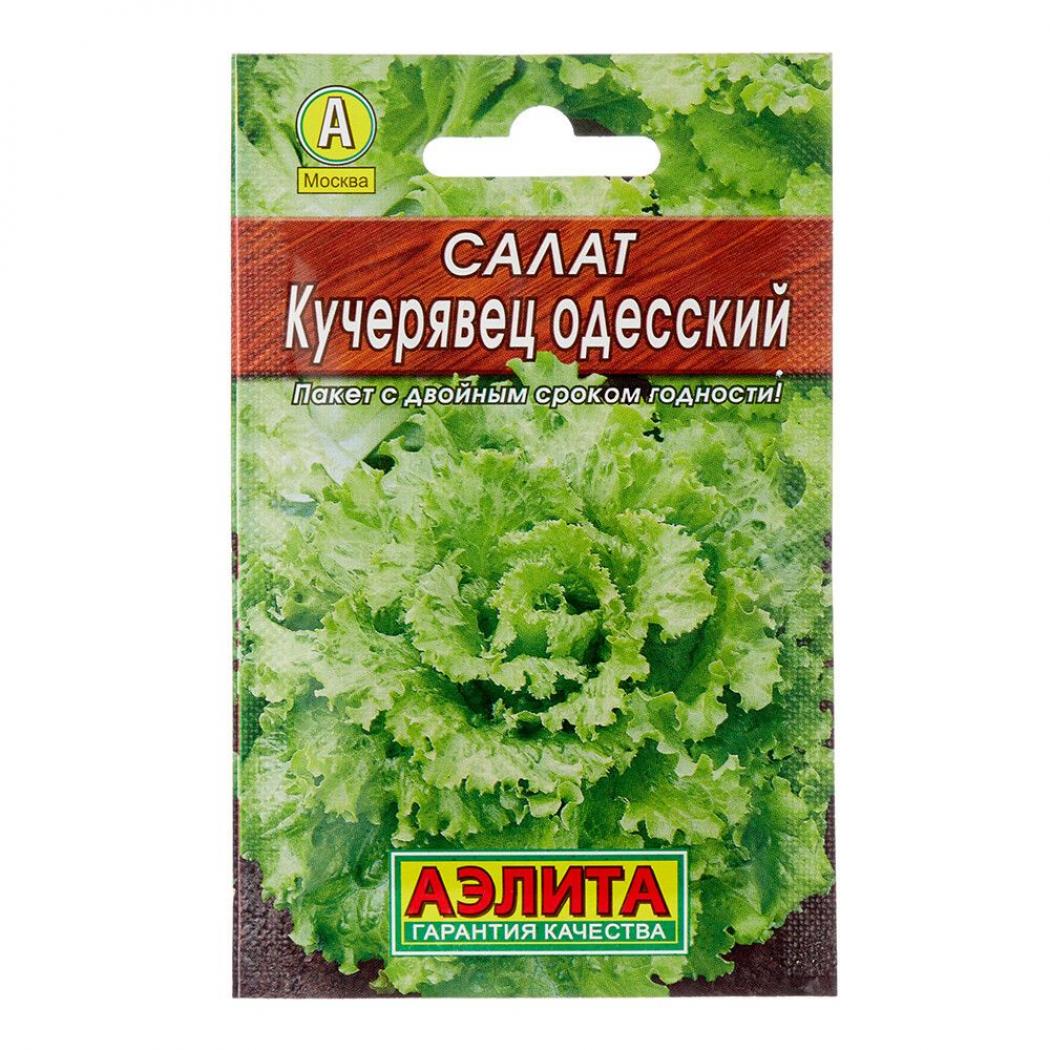Салат Кучерявец Одесский 2
