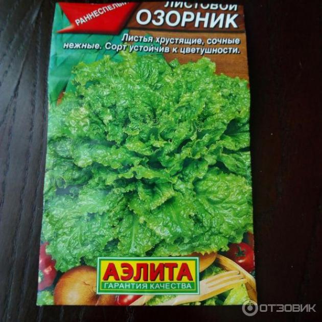 Салат Озорник