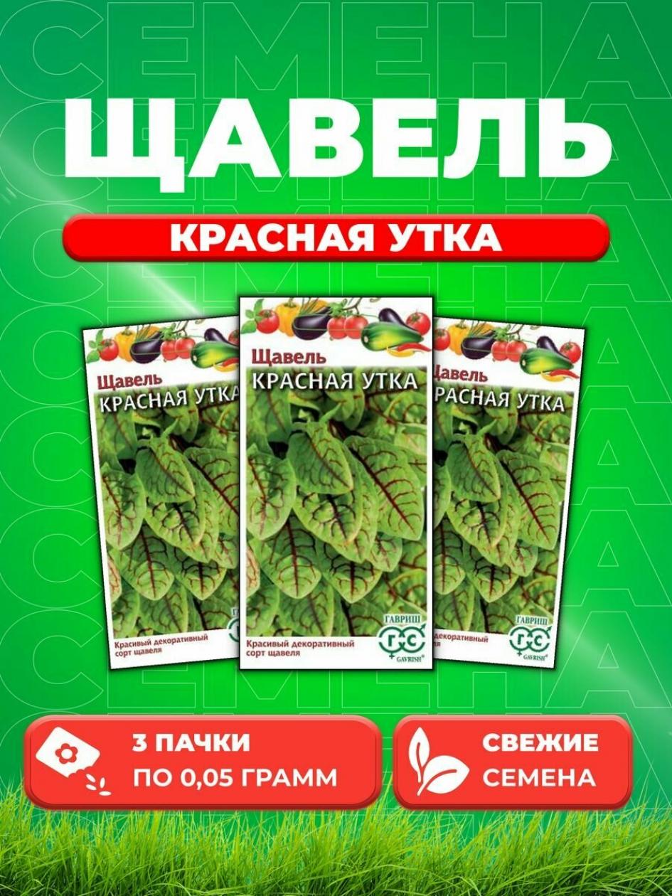 Щавель Красная утка 2